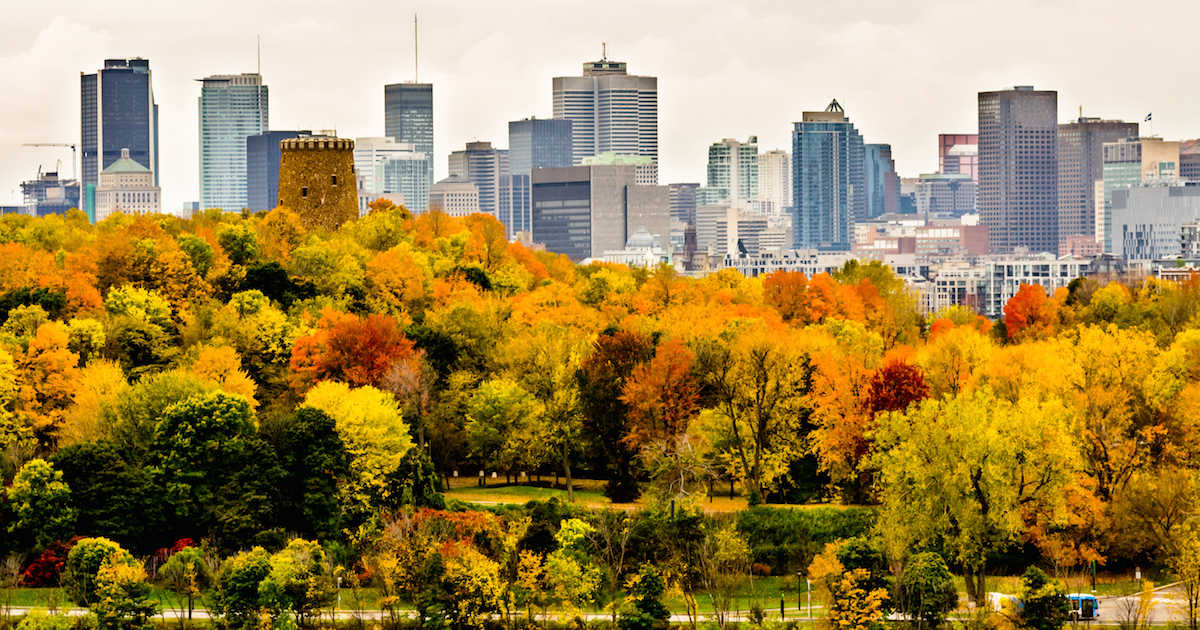 10 programas imperdíveis para curtir o outono em Montreal, no Canadá